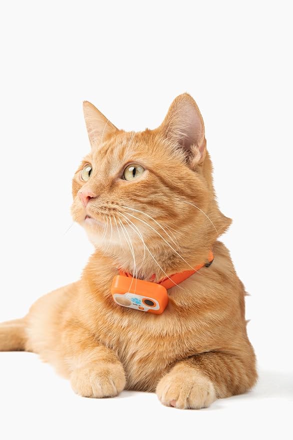 Genuine MS-5® Designer Series Cat Collar for High Tech Pet Automatic Doors. Tested & Certified. Proven Reliable. Complies with Power Pet Door Performance Warranty, Waterproof (Orange, CAT)