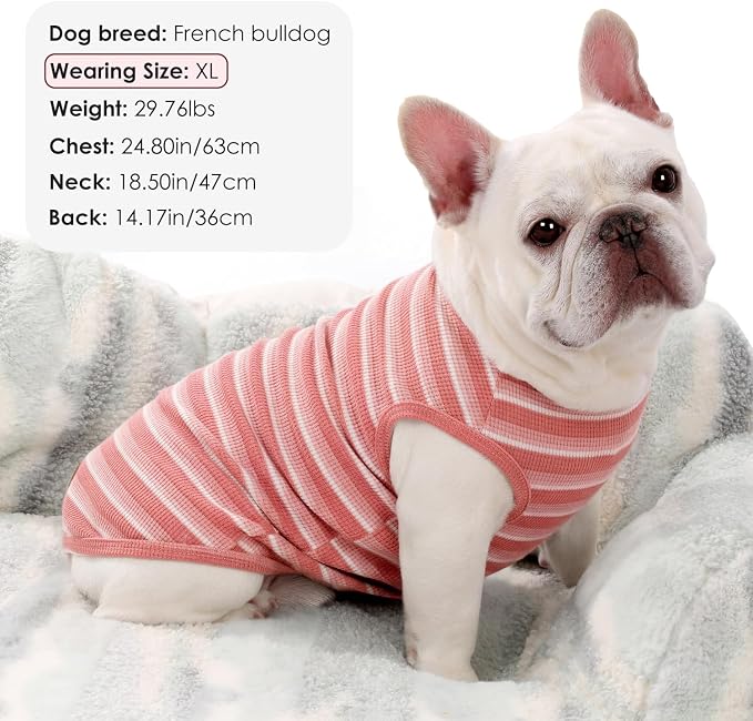 3Pack Dog Shirts Lightweight Waffle Dog Shirt for Small Dogs Sleeveless Dog Shirt for Small Medium Boy Girl Dogs Cozy & Breathable Pet Vest