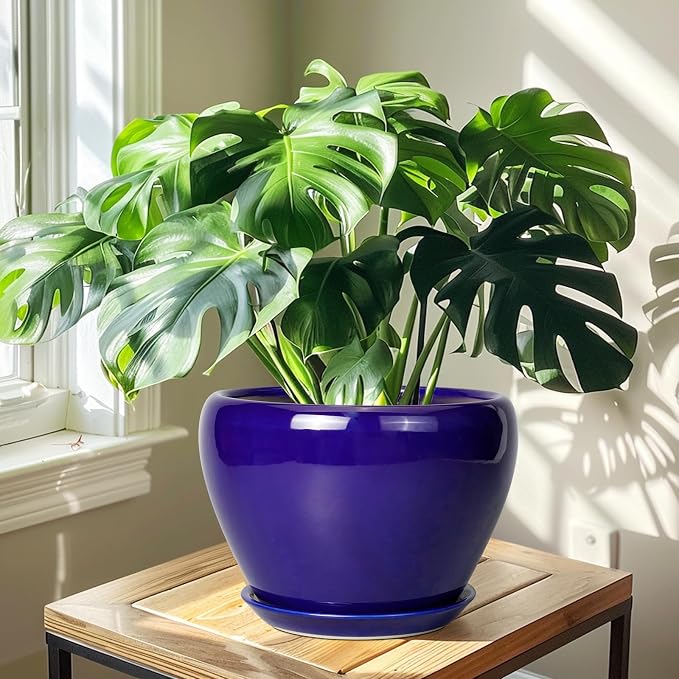 Ceramicfor Ceramic Planter 10 Inch - Indoor Plant Pot for Plants with Drainage Hole and Saucer Large Planter Round Outdoor Flower Pot Mid-Century for House Patio Decor Blue