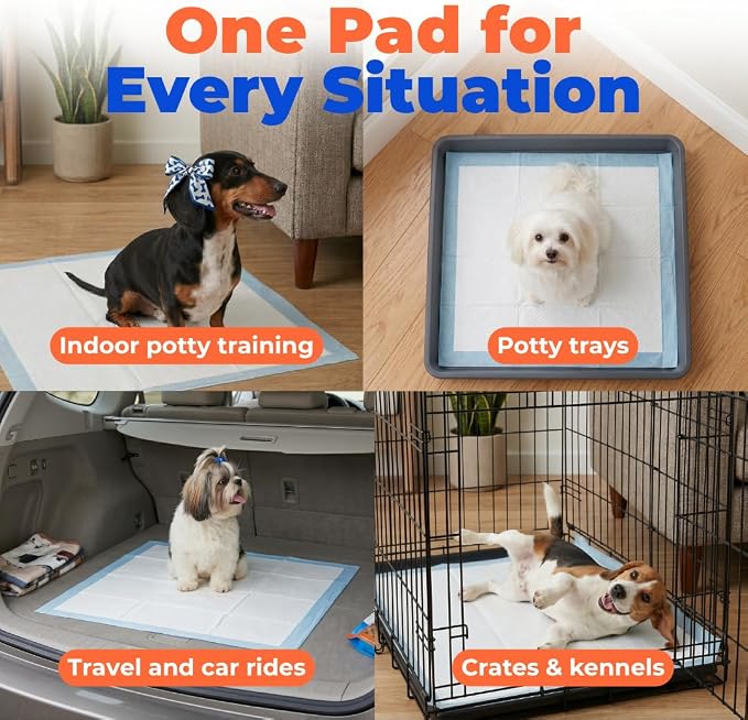 Best Pet Supplies Dog Training Puppy Pee Pads - Blue, 300 Count | 22.5x22" Potty Pads, Super Absorbent, Disposable, Leakproof, Keeps Floors Protected & Paws Dry, For Indoor Dogs, Odor Control