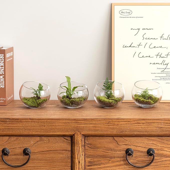 MyGift 5 Inch Clear Glass Round Bowl Air Plant Terrariums, Set of 4 | Versatile glass vessels showcase plants, candles, and decorative accents for weddings, events, shelves, and tabletop displays