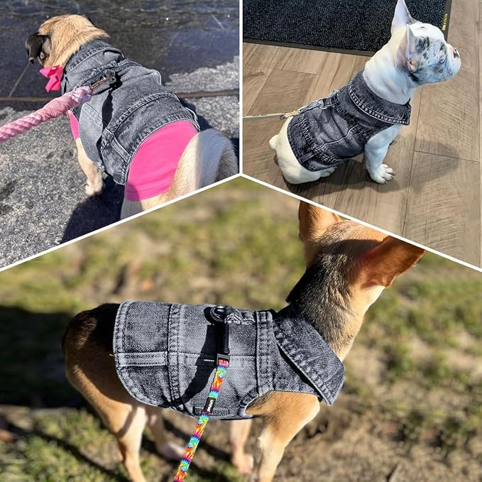 Dog Jean Jacket,Black Denim Vest for Small Pet,Cute Clothes with D-Ring | Soft Washed Cotton Denim Costume,Cool Apparel Dress Shirt for Puppy,Classic Coat Outfit for Small Dogs Cats Boy Girl