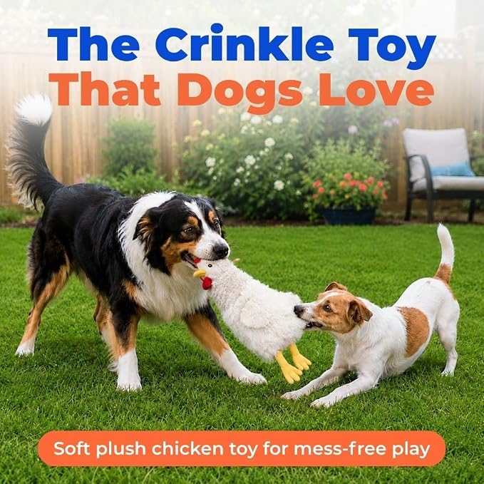 Best Pet Supplies Interactive Squeaky Dog Toy - Crinkle Chicken, Beige | Stuffing Free Body, Soft, Squeaks & Crinkles, No Mess, Perfect for Moderate Chewers, Toss and Fetch Play