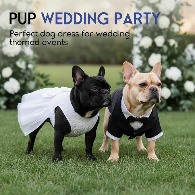 ASENKU Dog Dress Pet Wedding Dress Puppy Birthday Party Outfit, White XL | Dog Flower Girl Dress With Leash Hole, Princess Puppy Dress For Weddings, Daily Wear, Fits Small Medium Large Dogs Cats