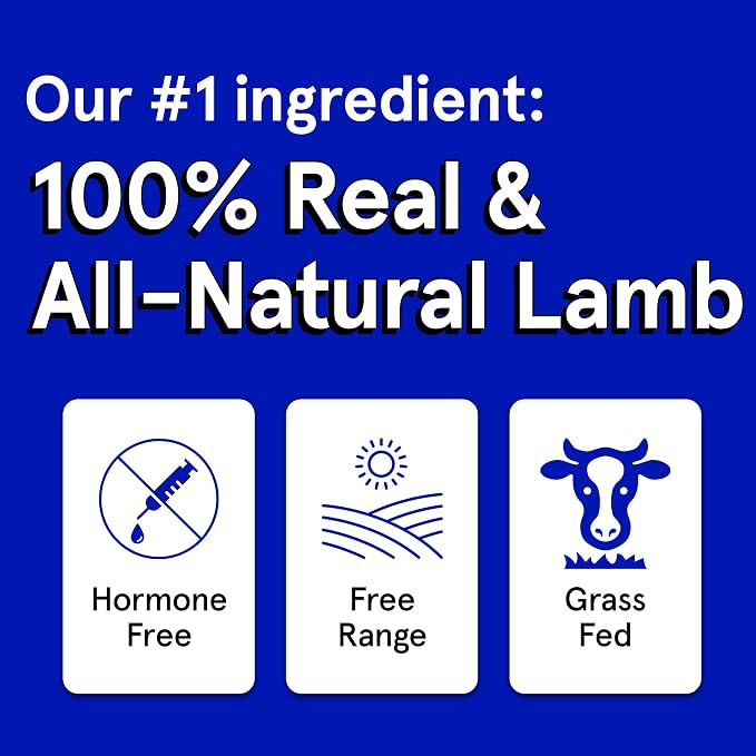 TRMC Real Meat Dog Treats - 12oz Bag of Bite-Sized Air-Dried Lamb Jerky for Dogs - Grain-Free Jerky Dog Treats, Free-Range, Grass Fed Lamb - All-Natural High Protein