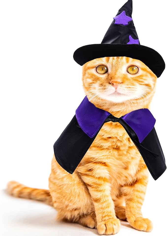 Dxhycc Halloween Pet Costume Cat Wizard Costume Funny Wizard Cat Clothes Cloak and Hat for Small Dogs Outfits
