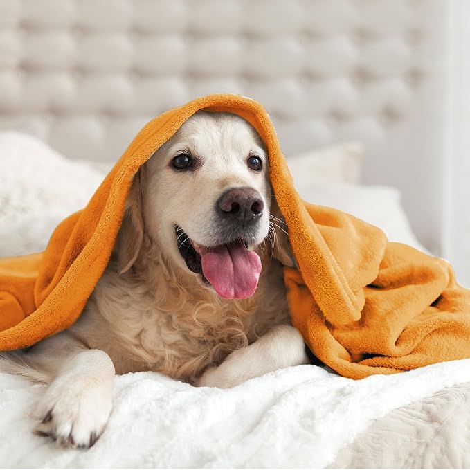 BEDELITE Fleece Blanket Soft Fall Queen Bed Blanket Burnt Orange 90"x90" | Ultra Soft Fleece, Plush Microfiber, Lightweight Warmth, Fall Decor, Fade Resistant, Machine Washable,Perfect for Bed