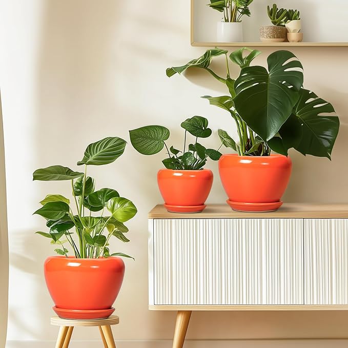 Ceramicfor Ceramic Pot for Plants - 10 Inch Plant Pot with Drainage Hole and Saucer, Modern Round Glaze Planter for Indoor Outdoor Plants, Plant Lover Gifts, Home Garden Office Decor, Orange