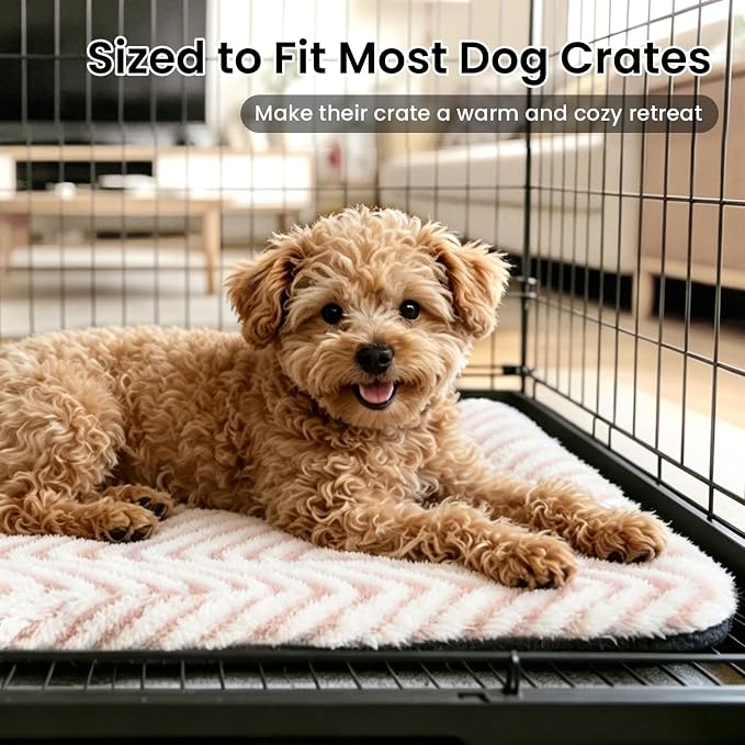 Mora Pets Cat Beds for Indoor Cats Washable Cat Mat Bed Flat Dog Crate Pad | Ultra Soft Cat Bed for Carrier, Puppy Crate Pad for Dog Cages Cozy Sleeping Liner, Small Cat Pillow Cushion Anti Slip 22 x 13