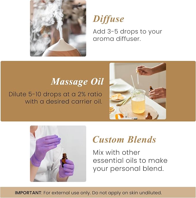 Handcraft Blends Frankincense Essential Oil – 1 Fl Oz – 100% Pure and Natural – Premium Grade Essential Oil for Diffuser and Aromatherapy, Skin, Massage, Candle and Soap Making Fragrance