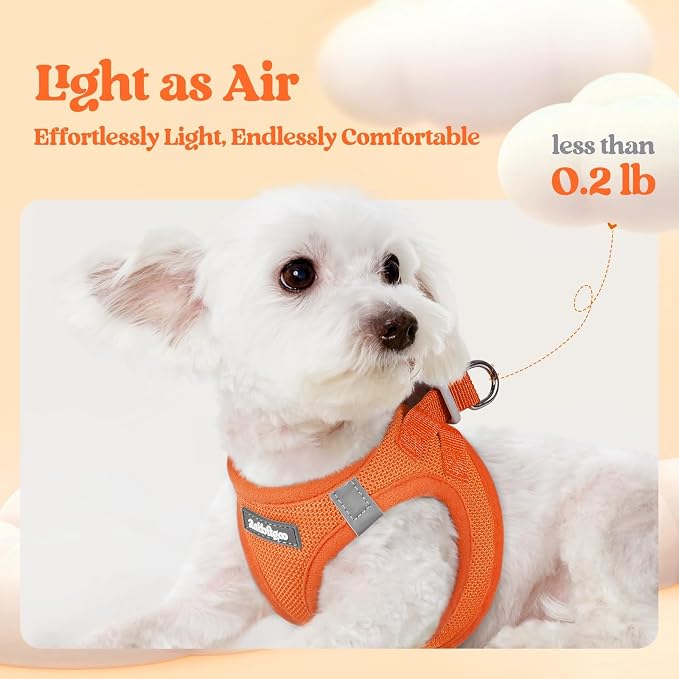 rabbitgoo Dog Harness Small Sized and Leash Set, Step-in Puppy Pet Vest | Light, Soft, Breathable Air Mesh, Easy on and Remove with Hook & Loop, Secure Reflective for Walking, Orange XXXS