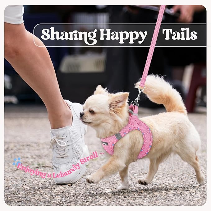 rabbitgoo Dog Harness Small Sized and Leash Set, Step-in Puppy Pet Vest | Light, Soft, Breathable Air Mesh, Easy on and Remove with Hook & Loop, Secure Reflective for Walking, Pink & Plaid Trim XS
