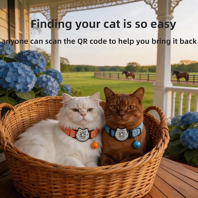 Breakaway Cat Collar with QR Code Tag and Bell (Blue & Orange) | Reflective Nylon, Quick-Release Buckle