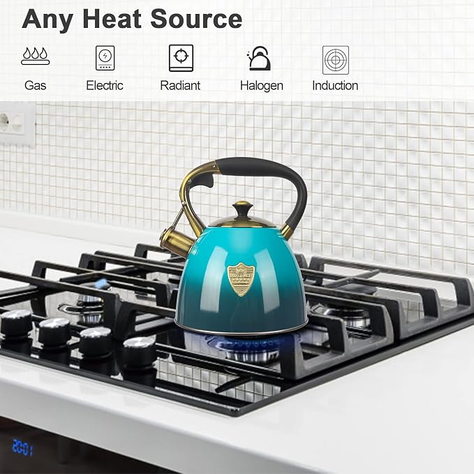 Tea Kettle -2.9 Quart Tea Kettles Stovetop Whistling Teapot Stainless Steel Tea Pots for Stove Top Whistle Tea Pot