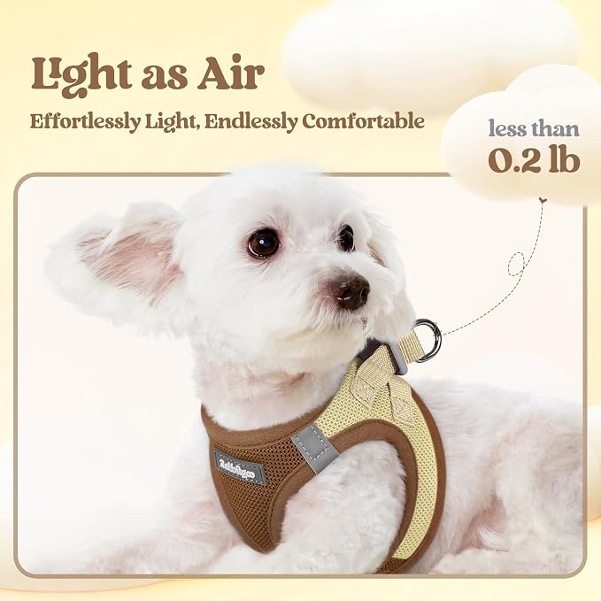 rabbitgoo Dog Harness Small Sized and Leash Set, Step-in Puppy Pet Vest | Light, Soft, Breathable Air Mesh, Easy on and Remove with Hook & Loop, Secure Reflective for Walking, Brown & Beige M