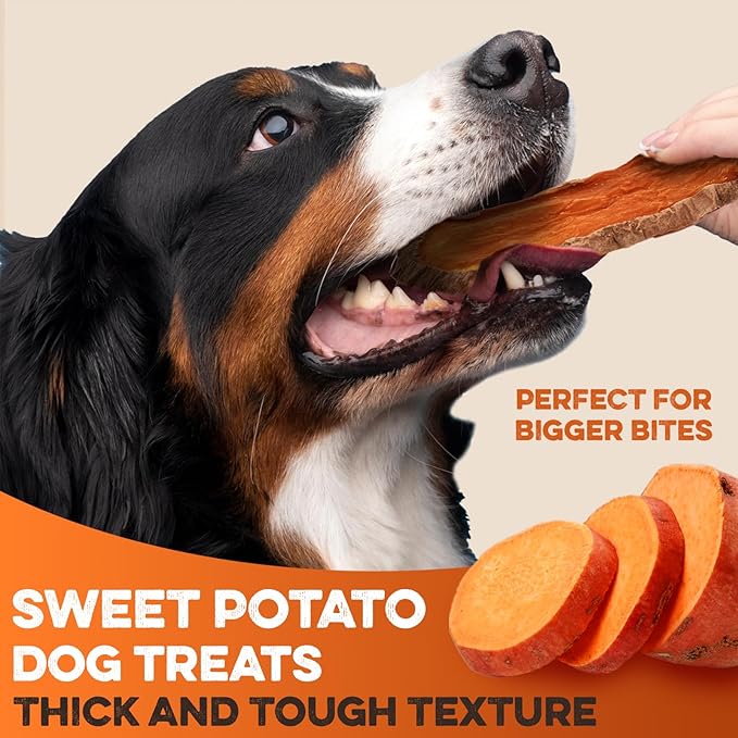 BRUTUS & BARNABY Dried Sweet Potato Dog Treats & Chews, Full Slices, 14 oz | Single ingredient, healthy, hypoallergenic; gentle on sensitive stomachs. Made in USA, thick cut for large breeds