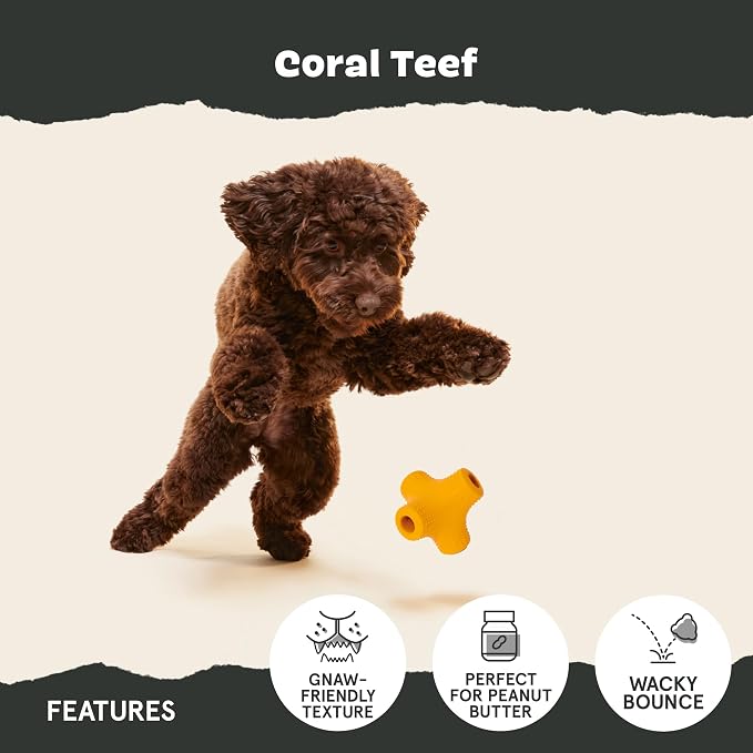 BarkBox Coral Teef Dog Toy