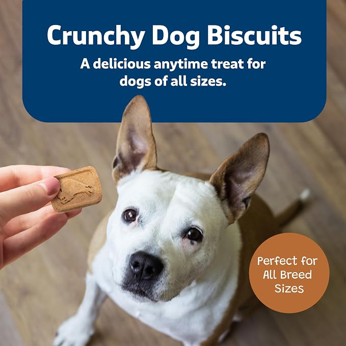 Blue Buffalo Health Bars Crunchy Dog Biscuits, Oven-Baked with Natural Ingredients, Pumpkin & Cinnamon, 16-oz Bag (Pack of 2)