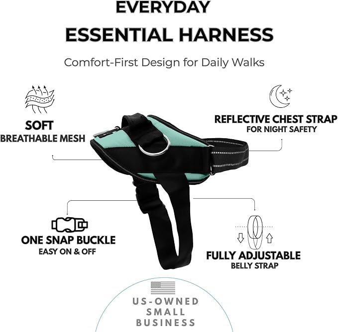 ShawnCo Essential Dog Harness, No-Pull Pet Vest (Seafoam,S) | 3 Leash Clips, Easy On, No-Choke, Reflective, Adjustable Fit, Padded Comfort, Control Handle, For Small, Medium & Large Dogs
