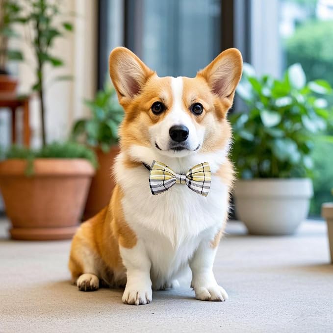 PET SHOW 8 Pack Plaid Dog Bowties for Small Dogs Slide on Collar
