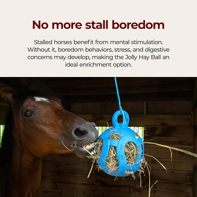 Horsemen's Pride Jolly Hay Ball Stall Toy for Horses, Blue, 8"