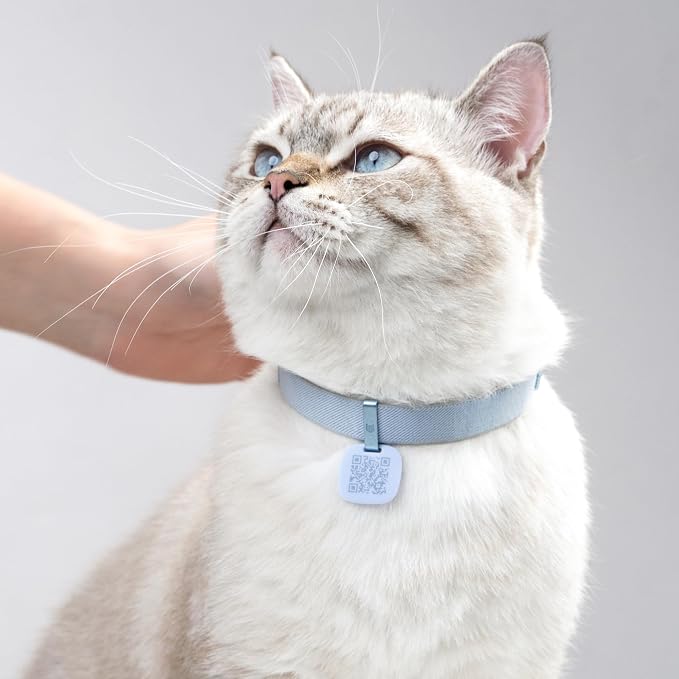Cat Collar with QR Code Name Tag, 6-12" Adjustable Non Breakaway QR Code Cat Collar Elastic Release Personalized Online Pet Profile Scan Contact Silicone QR ID Tag for Cats (Beige, S)
