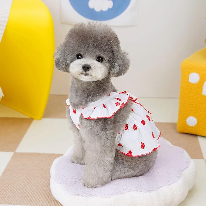 Dog Dresses for Small Dogs Girl Female Clothes Cat Clothes Cat Dress Cute Cotton Extra Summer Bow Decor Printed Strawberry Dog Birthday Outfit Small Puppy Clothes White XS