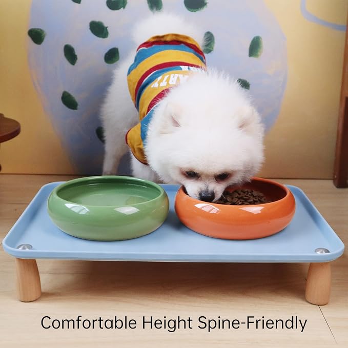 Large Elevated Cat & Dog Bowl Stand,3 inch Height Raised Feeder Compatible with Most Automatic Pet Feeders & Water Fountains, Anti-Slip & Spill-Proof Large Pet Food Tray,17 x 12 Inches (Blue)