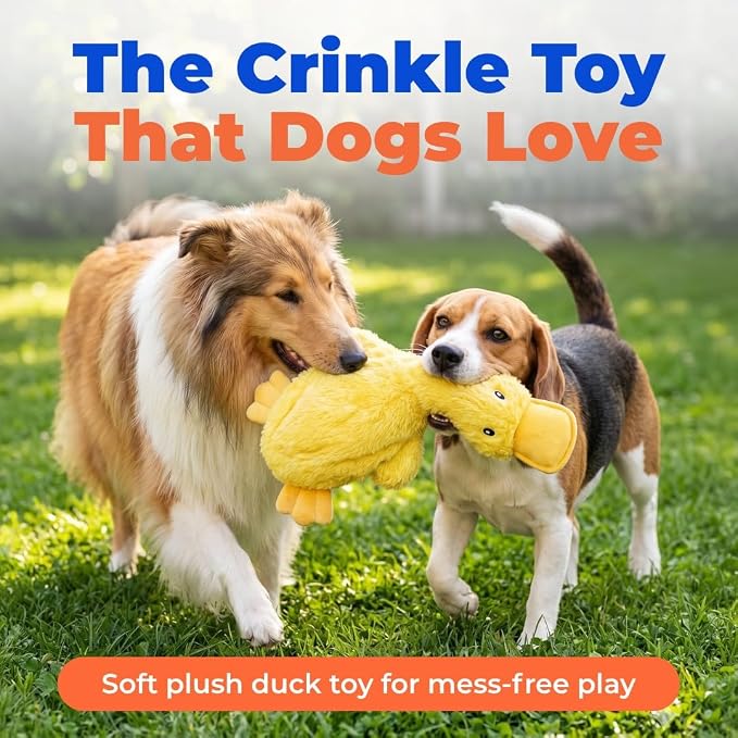 Best Pet Supplies Interactive Squeaky Dog Toy - Crinkle Duck, Yellow | Stuffing Free Body, Soft, Squeaks & Crinkles, No Mess, Perfect for Moderate Chewers, Toss and Fetch Play