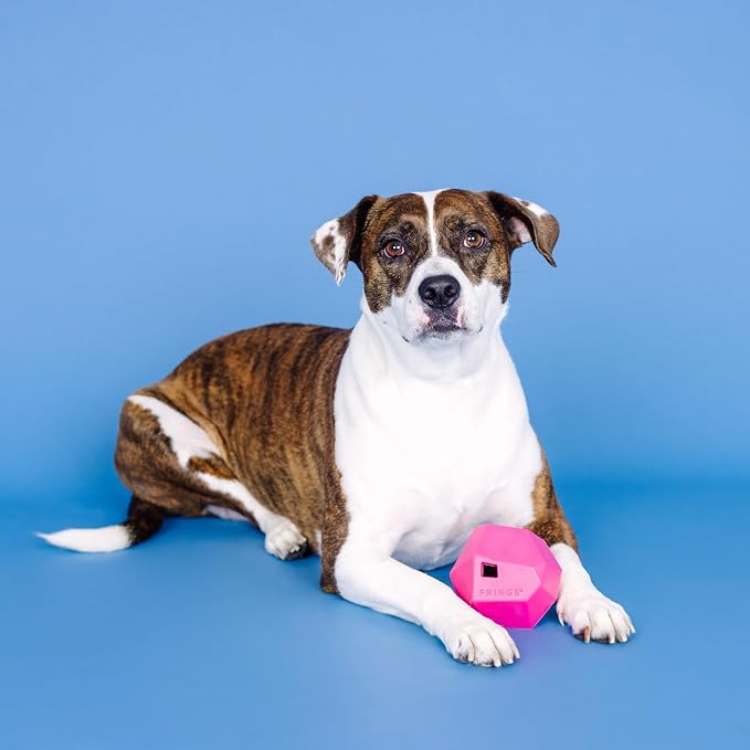 Fringe Studio "Having A Ball HOT Pink Rubber Dog Toy, Pet Shop Collection (518020)