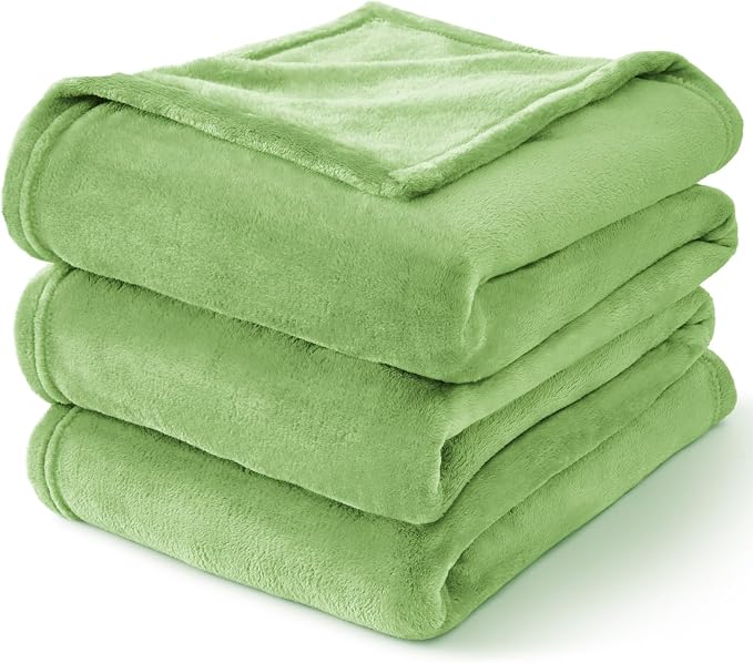 BEDELITE Fleece Blanket Soft Plush Queen Bed Blanket Grass Green 90"x90" | Ultra Soft Fleece, Plush Microfiber, Lightweight Warmth, All Season Comfort, Fade Resistant, Machine Washable,Perfect for Bed