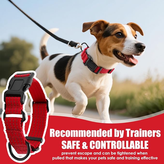 Martingale Dog Collar, Reflective No Pull, Red, XS
