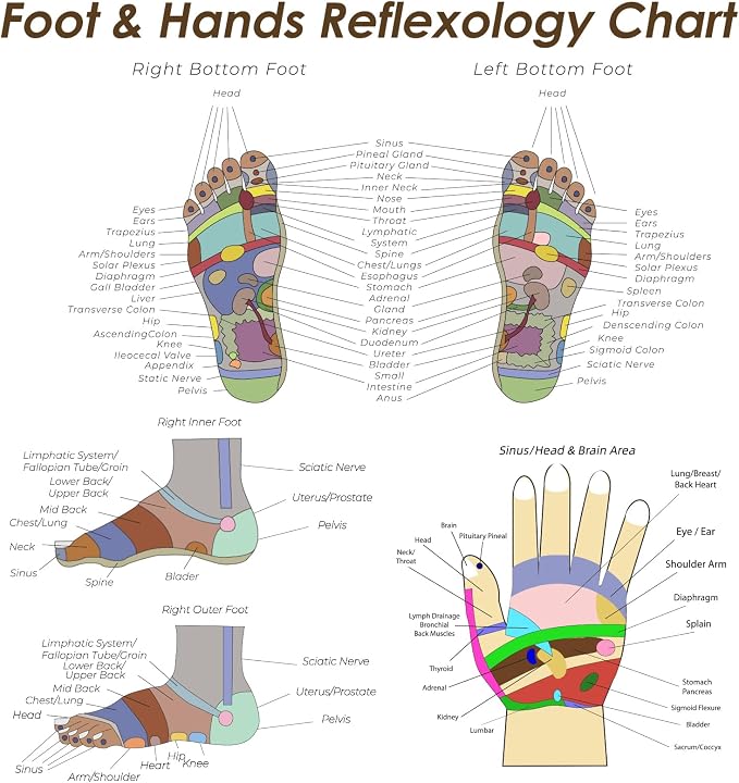 Reflexology Socks Set with Gloves Tools, 2 Pairs Chiro Acupressure Acupuncture Trigger Point 4pcs Massage Tool Gua Sha Foot Hands Head Pain Relief Acupoint Birthday Gifts for Women E