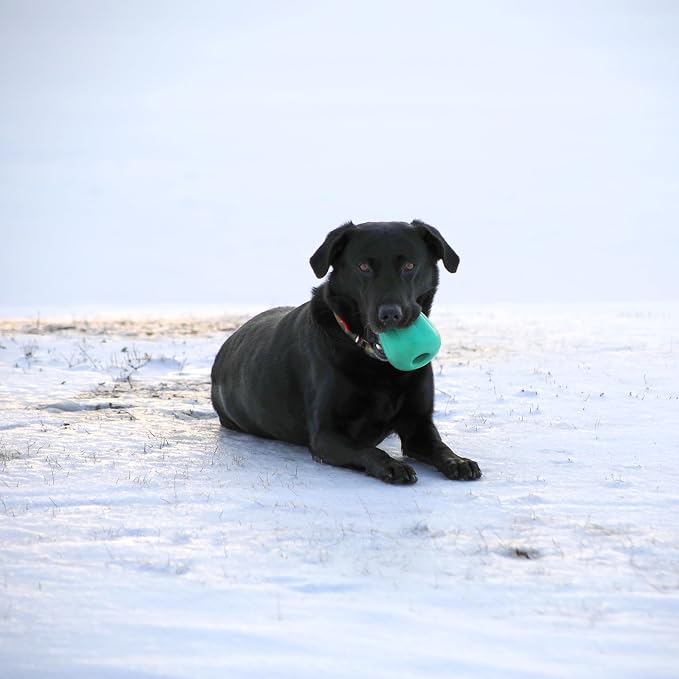 Chew King by Mammoth Premium Treat Dispensing Dog Toy, Durable Natural Rubber Chew Toy, Safety Air Vent, Interactive Enrichment Toy for Aggressive Chewers, XXL - Teal