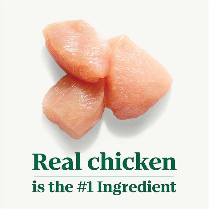 Nutro Hearty Stew Wet Dog Food, Tender Chicken, 12.5 oz, 12 Pack | Grain-free, non-GMO, real chicken #1 ingredient, with carrot & pea, natural ingredients, no corn, wheat, soy, made in USA