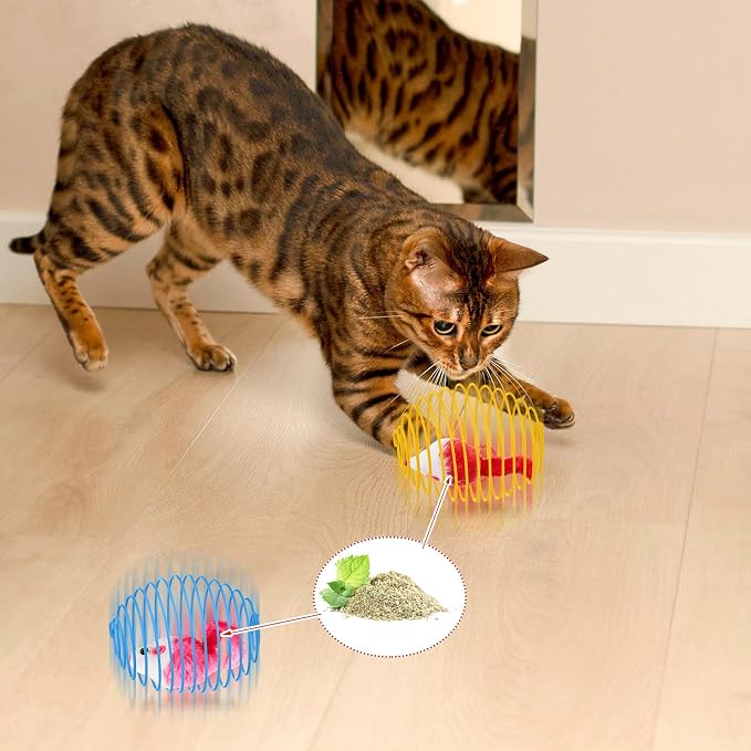 Jecery 5 Pcs Cat Toys Spring,Catnip Rats,Bright Color