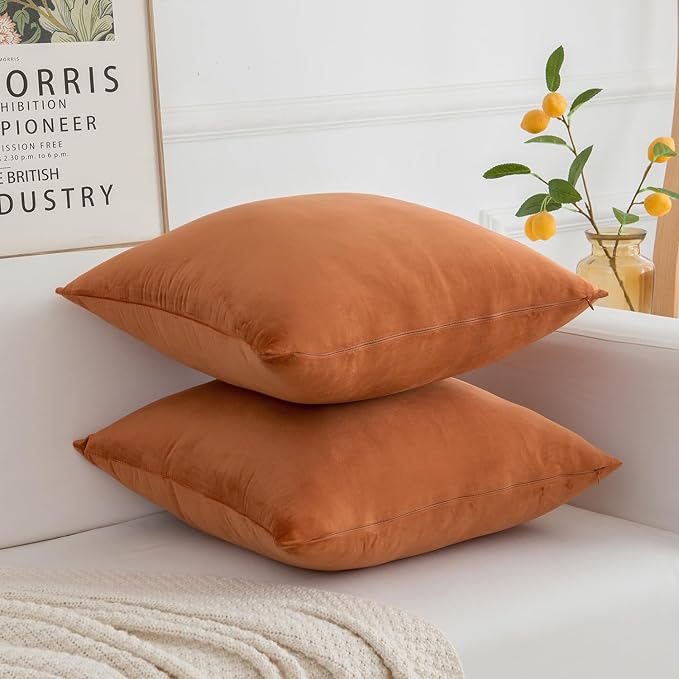 Velvet Decorative Fall Throw Pillow Covers, Soft Square Cushion Case Home Decor for Living Room Couch Bed Sofa, Set of 2 Pack, Burnt Orange, 18x18 Inch