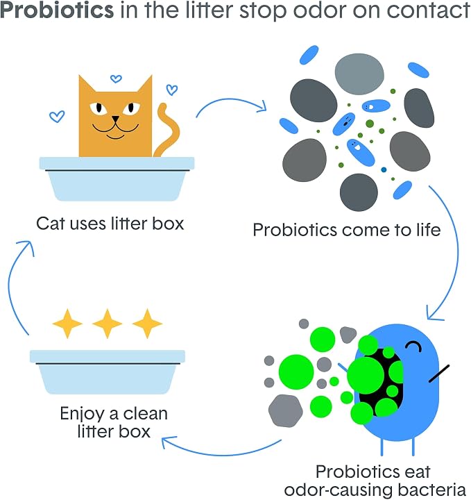Boxie Probiotic Cat Litter, 40 Day Control, Clumping Clay Kitty Litter, Odor Eliminating Probiotics, Dust-Free, No Fragrances No Fillers, 16 lb