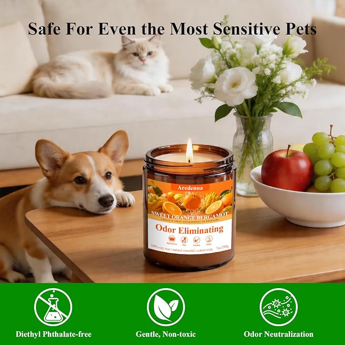 Sweet Orange Bergamot Odor Eliminating Candles | Eliminates 95% of Pet, Smoke, Food, and Other Smells Quickly | 7oz Soy Candle for Home Scented | Air Freshening Scented Candle for Positive & Relax