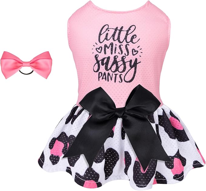 CuteBone Dog Mesh Dress Puppy Sundress Pet Outfit Summer Fashion for Small Dogs Girl Cat Clothes