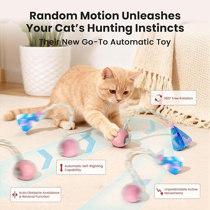 Rocfish Durable Interactive Cat Toys for Indoor Cats (Pink, 03)