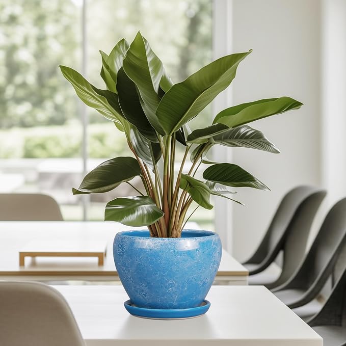 Ceramicfor 6 Inch Plant Pot - Ceramic Planter Pot with Drainage Hole and Saucer, Glaze Succulent Pot Modern Round Flower Pot for Indoor Plants, Blue