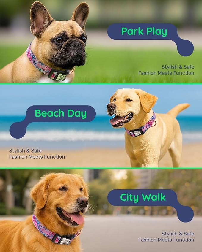 Dog Collar for Large Dogs with Smart QR Tags
