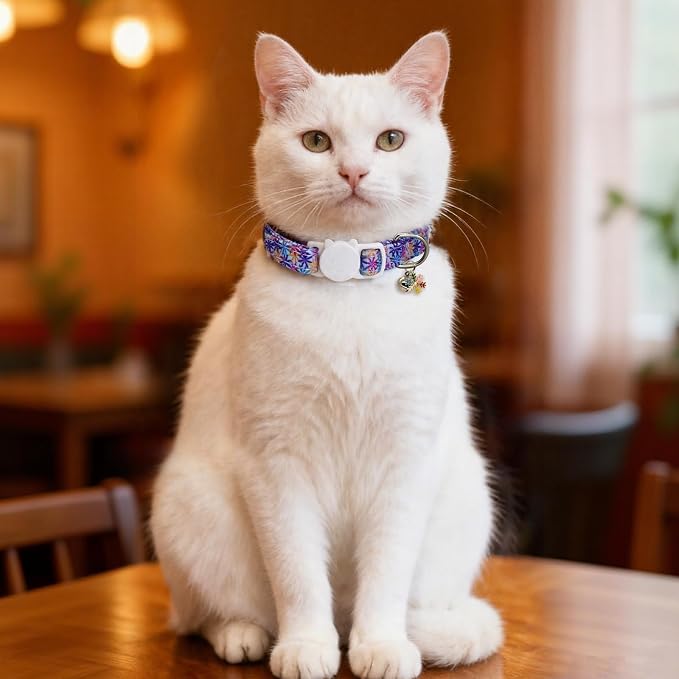 Cat Collars for Girl Cats & Boys, 2 Pack Soft Cotton Breakaway Collar with Removable Bell and Cute Charms, Adjustable Safety Pet Necklace, Colorful