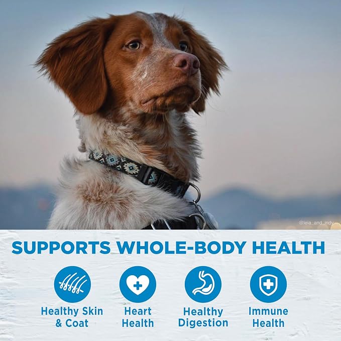 Wellness Simple Limited Ingredient Diet Adult Dry Dog Food, Wholesome Grain Kibble, Sensitive Stomach, Skin & Coat Support, Natural, Chicken Free, Duck and Oatmeal Recipe, 26 lb Bag