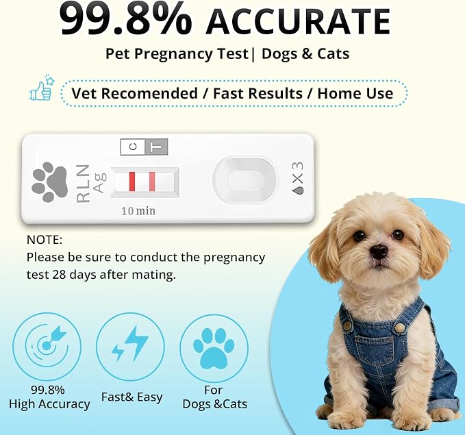 1-Pack Dog & Cat Pregnancy Test Kit – Accurate Blood Test for Early Reproductive Detection, Fast Home Results, Safe Health Monitoring for Pets & Vet Use