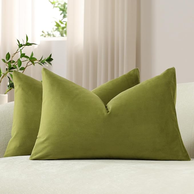 Lumbar Pillow Covers 12x20 Chartreuse: Pack of 2 Cozy Soft Velvet Rectangular Modern Luxury Decorative Throw Pillow Cases for Sofa Couch Living Room Bed Home Decor