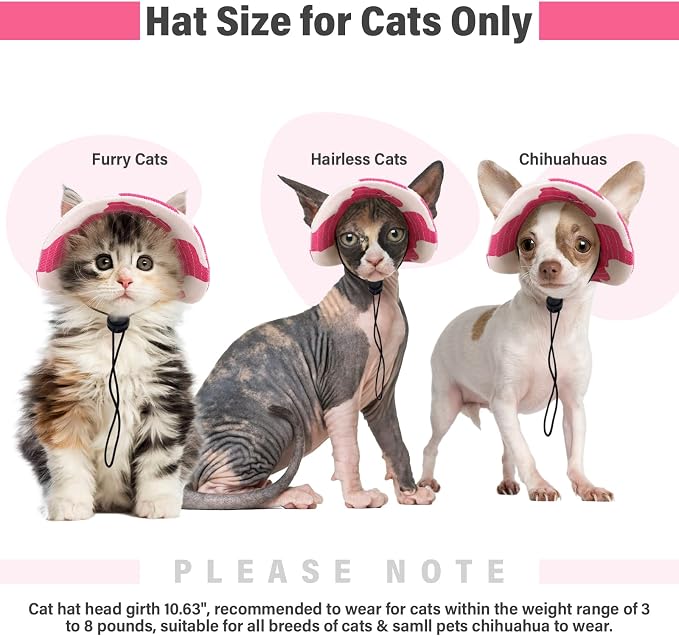DENTRUN Cat Bucket Hat with Ear Hole, Cotton Birthday Bonnet for Small Pets | Breathable cotton, Adjustable Secures fit, For birthday Party, For small cats, daily cute photos