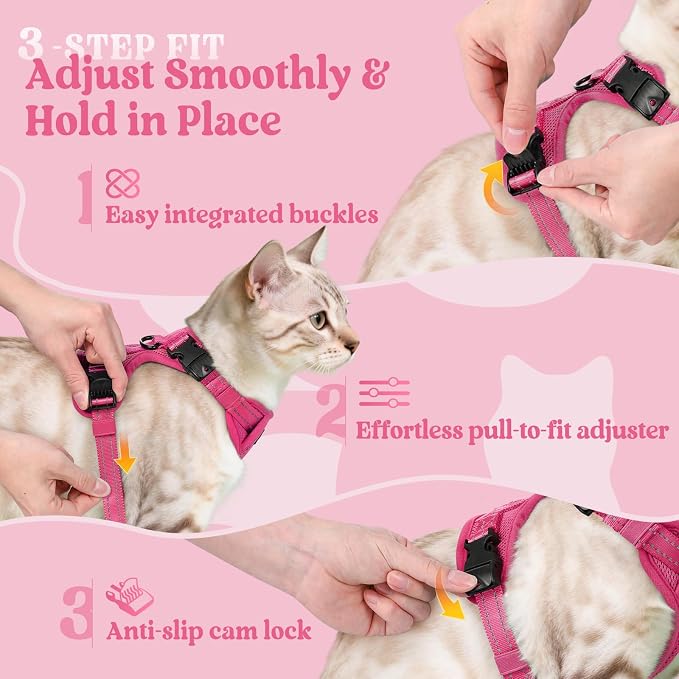 rabbitgoo Cat Harness and Leash Set, Easy-on with Neck Buckle, Rose Red