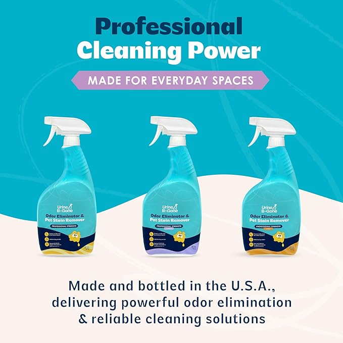 Urine B-Gone Enzyme Cleaner for Human & Pet Urine, Lavender, 32 oz, 2-Pack | Two 32 oz bottles of enzyme cleaner for human, cat and dog urine on laundry, carpets and more; lavender scent.
